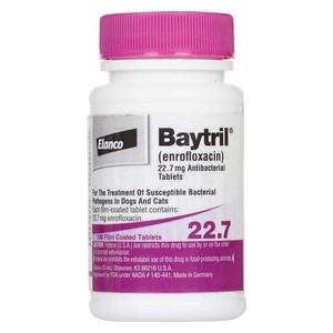 Baytril Antibacterial Tablets for Dogs and Cats Elanco Animal Health